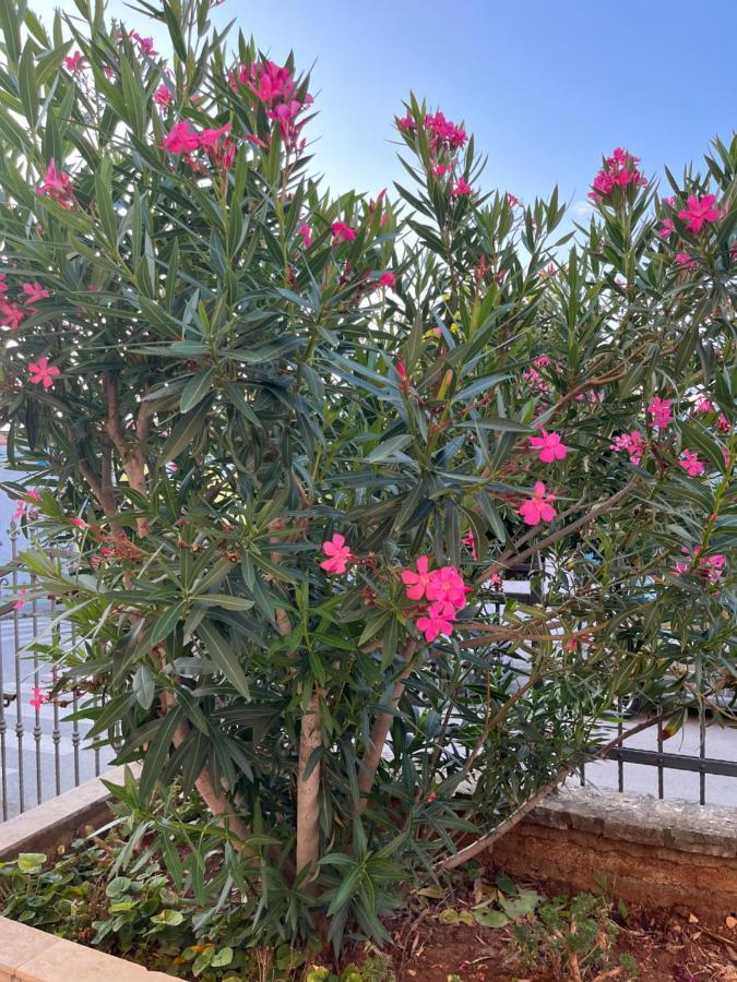 Apartment A & N With Free Private Parking Pula Exterior foto